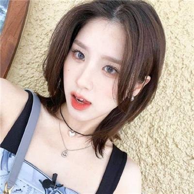 认识狗狗